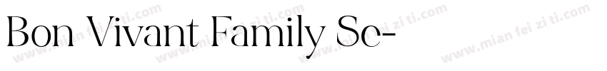 Bon Vivant Family Se字体转换